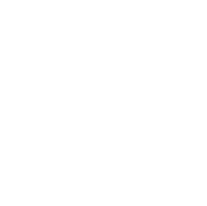 Umwelt Icon